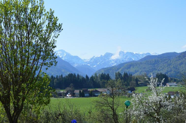 Pension Schindlau Scharnstein Esterno foto
